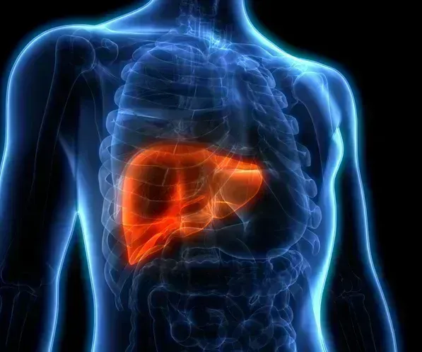 Liver Diseases and Conditions